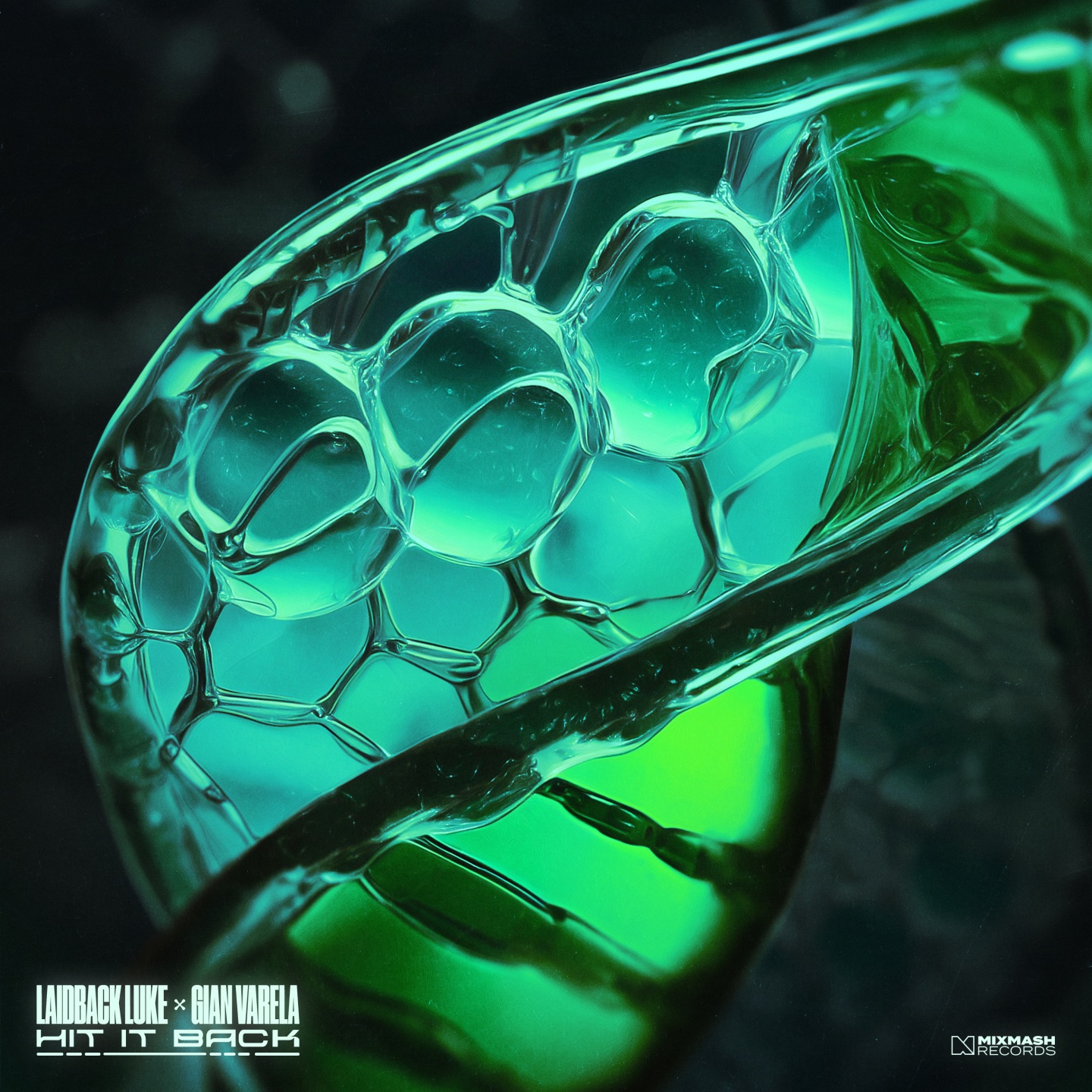 Hit It Back - Single album cover