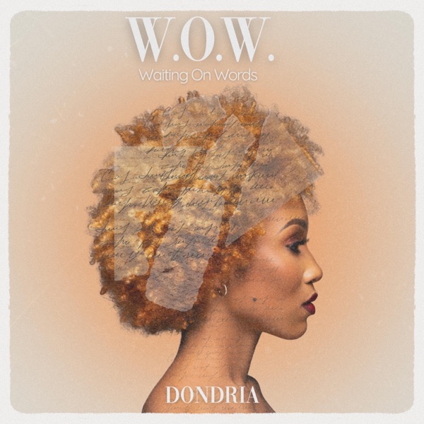 W.O.W. (Waiting On Words) - Single album cover