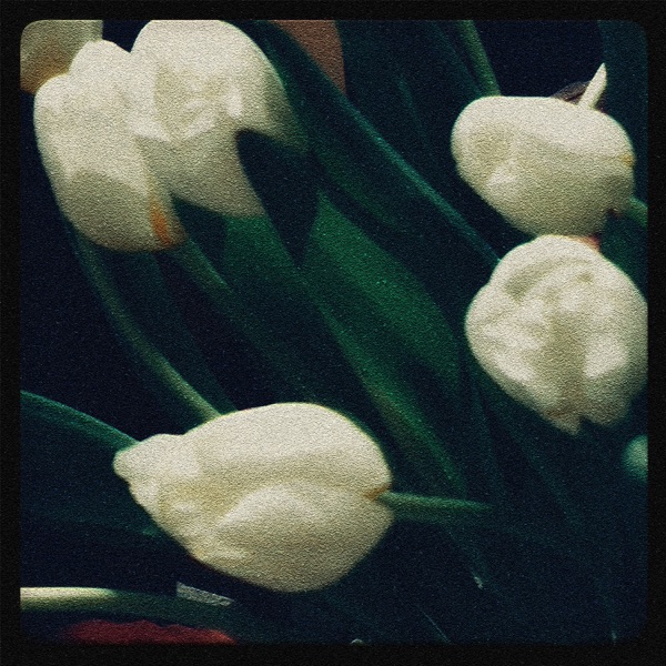 Chờ - Single album cover
