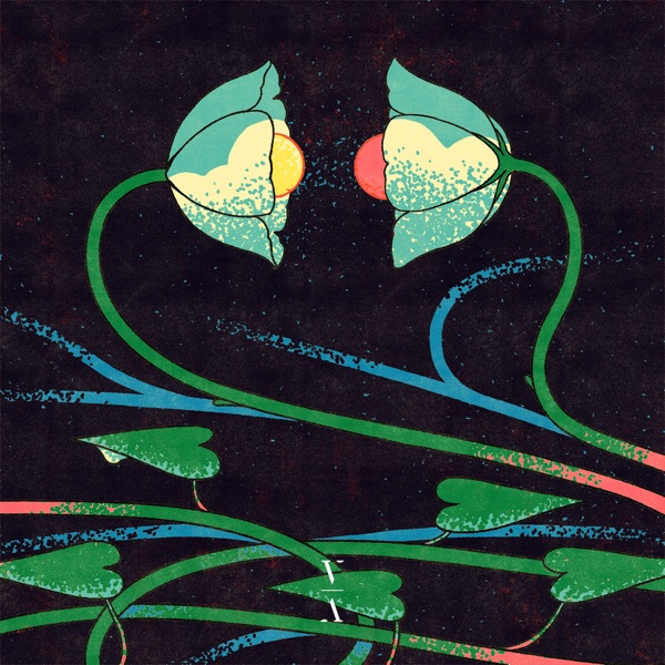 Cross Pollination II album cover