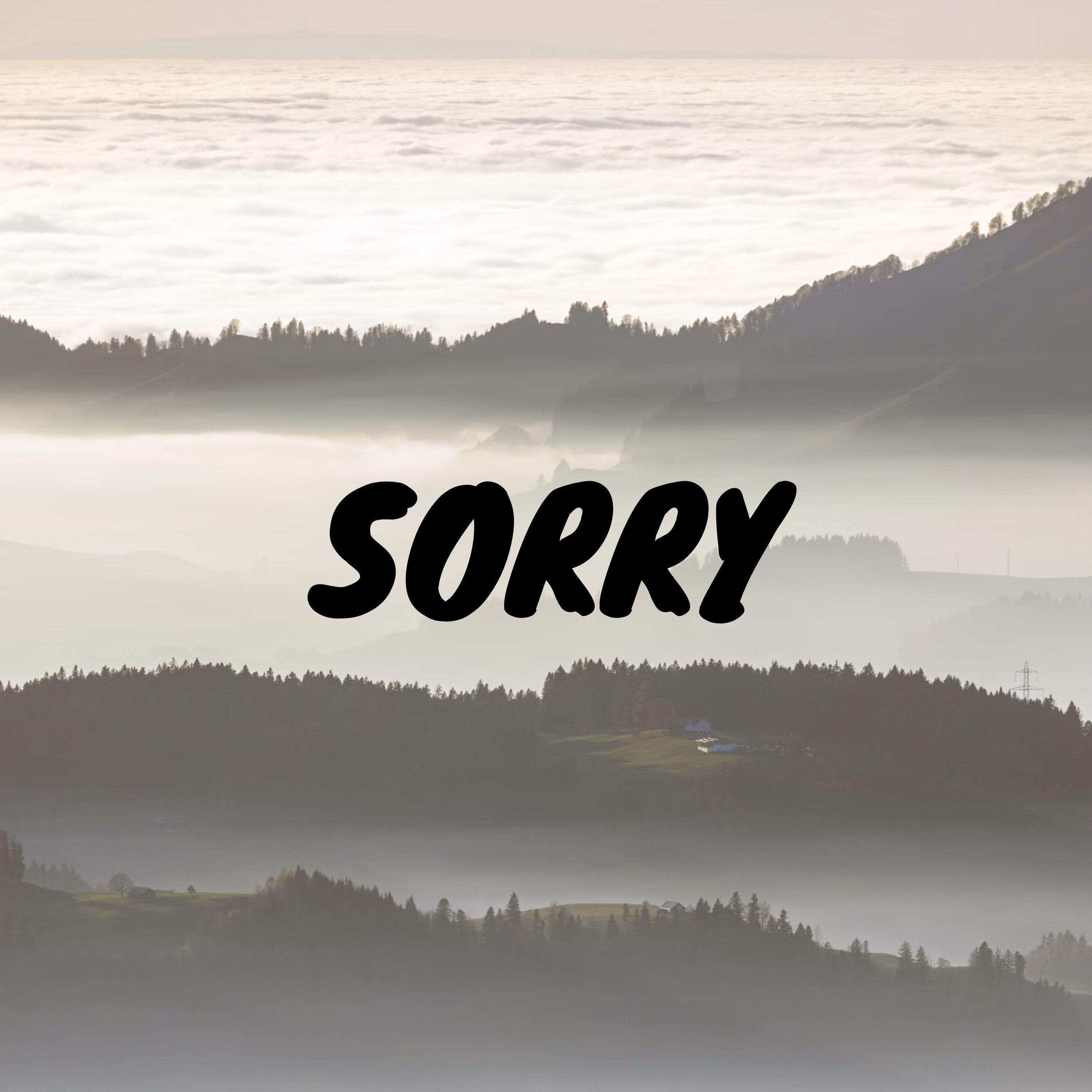 Sorry - Single album cover