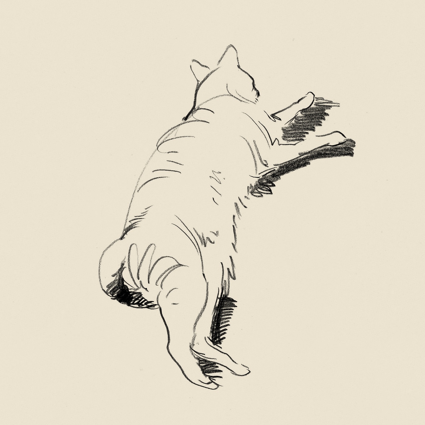 Catnaps - Single album cover