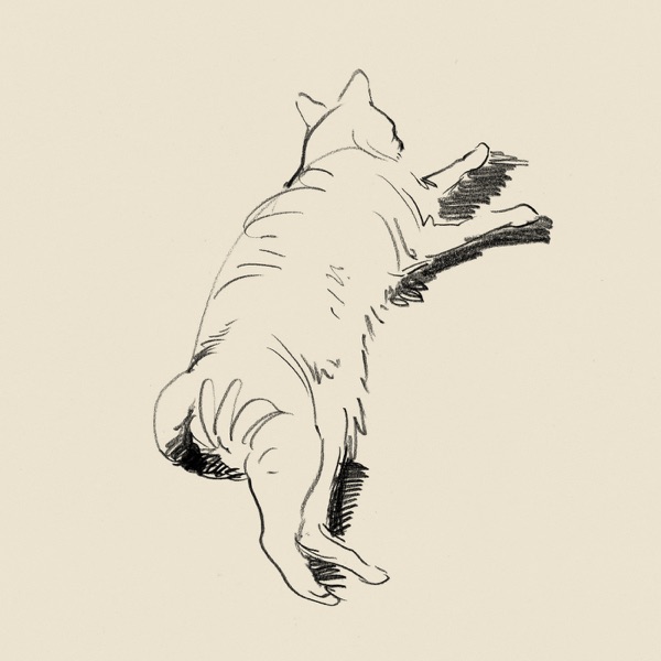Catnaps - Single album cover