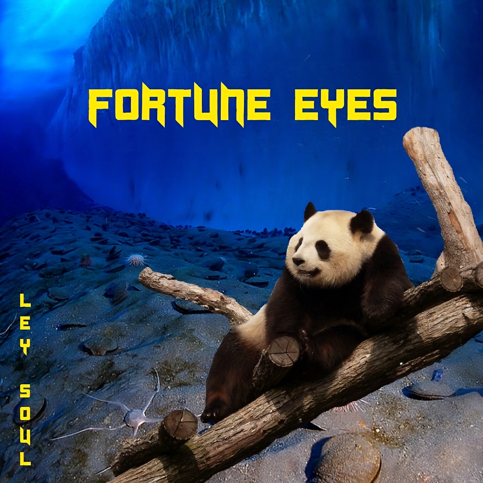 Fortune Eyes - Single album cover