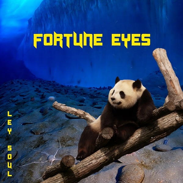 Fortune Eyes - Single album cover
