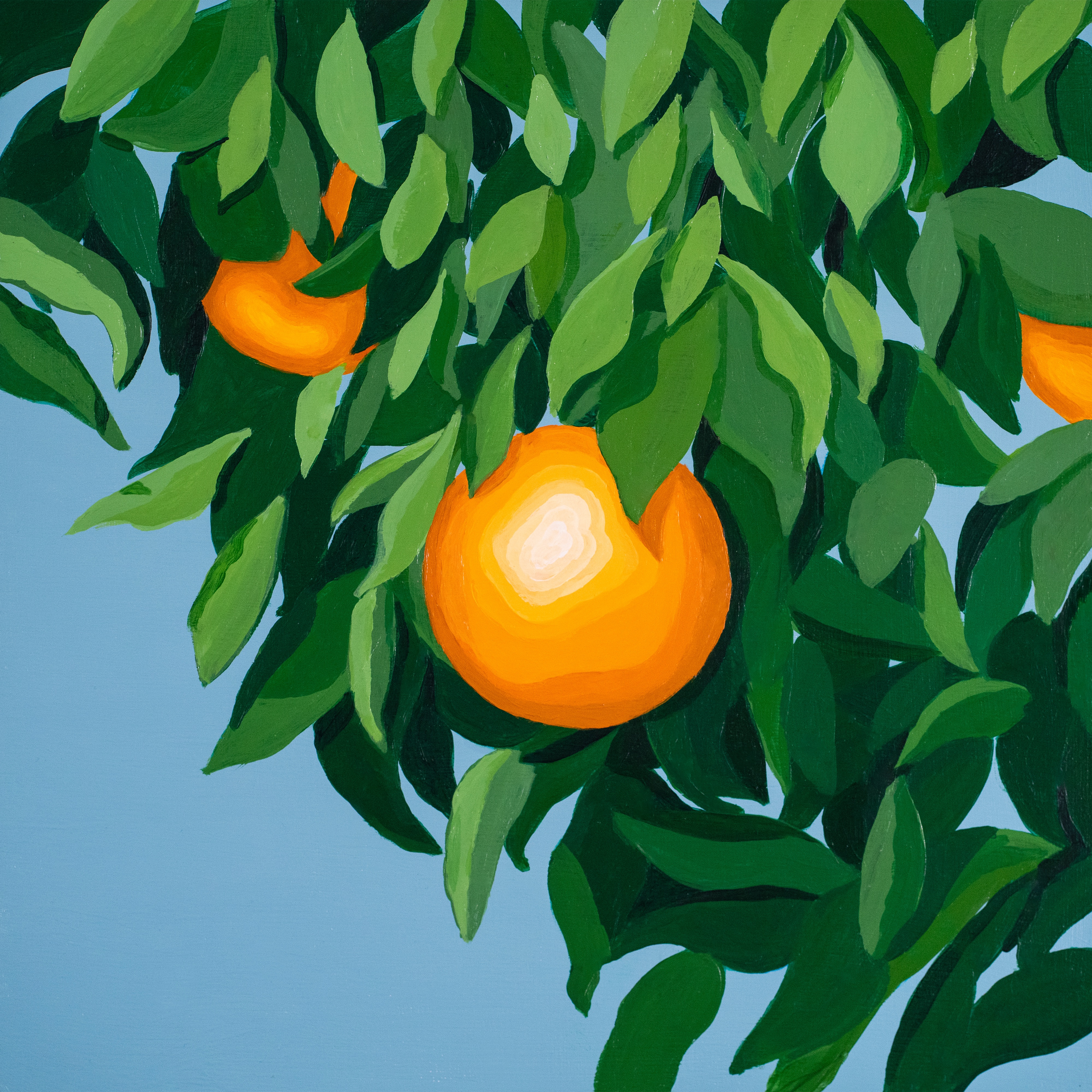 For The First Time, Again album cover