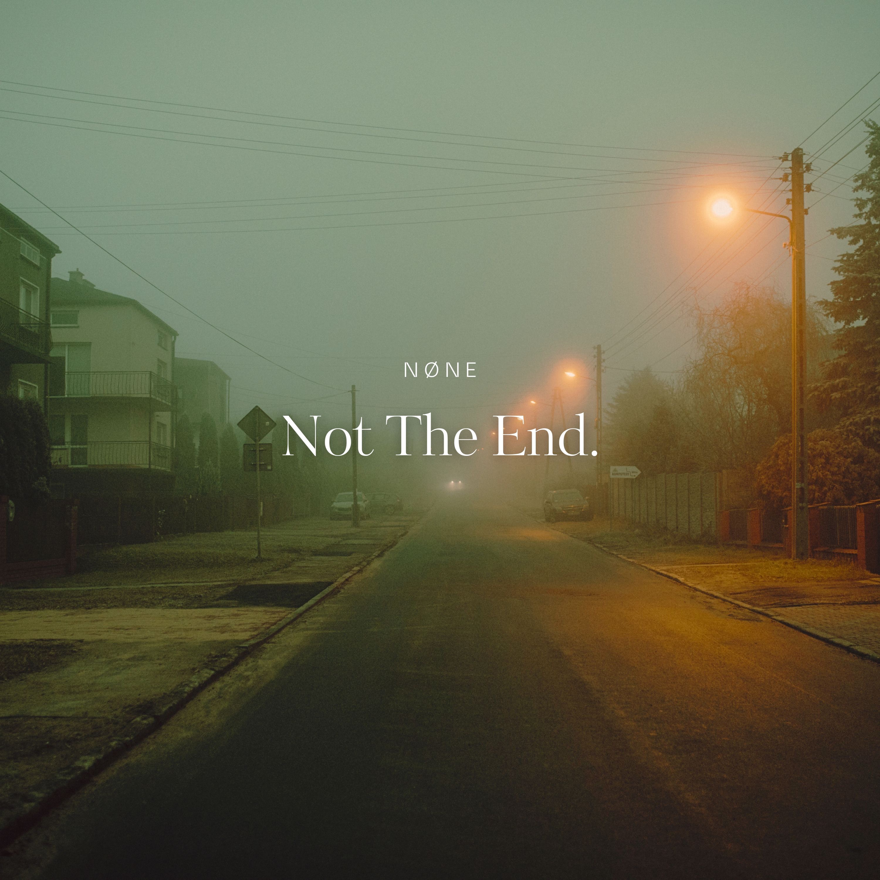 Not The End - Single album cover