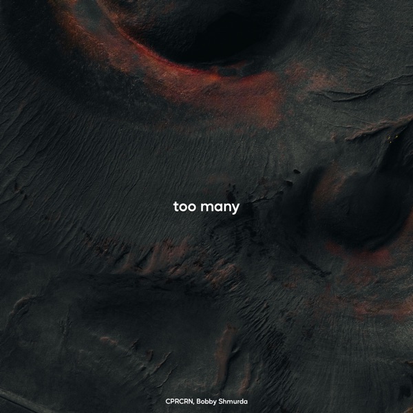 Too Many (feat. Bobby Shmurda) [Sped Up] - Single album cover