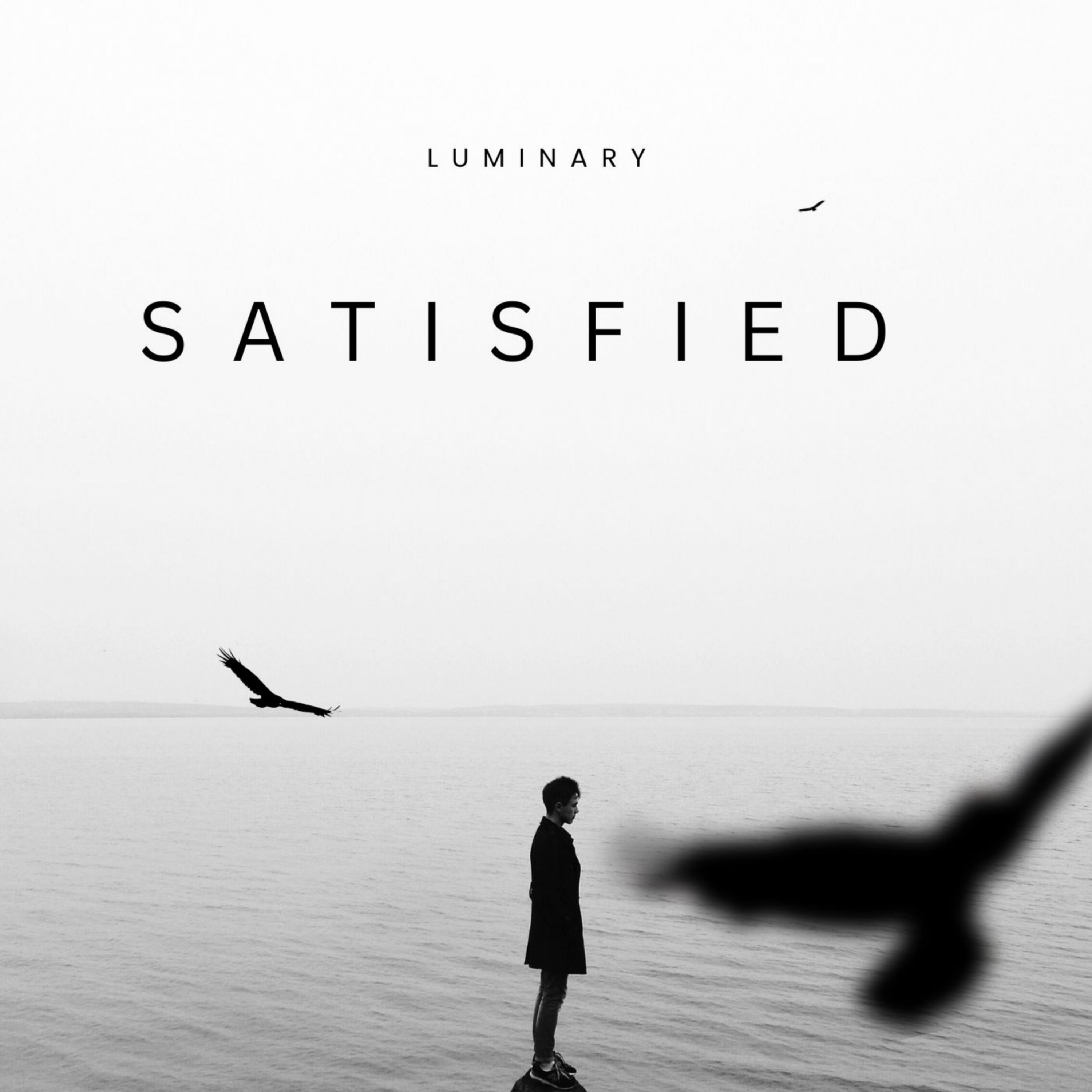 Satisfied - Single album cover
