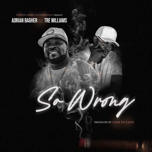 So Wrong - Single (feat. Tre Williams) - Single album cover