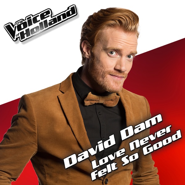Love Never Felt So Good (From The Voice Of Holland 5) - Single album cover