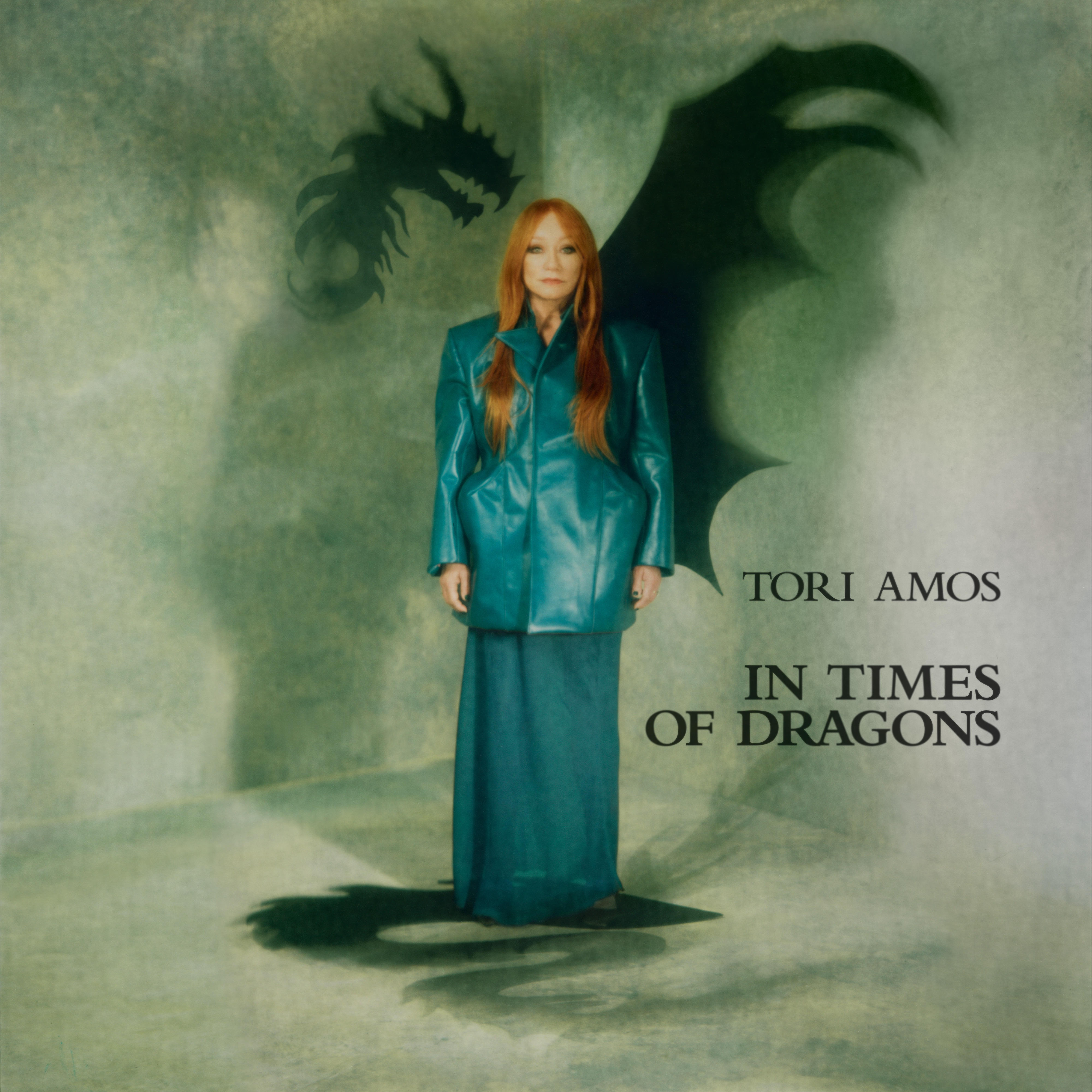 In Times Of Dragons album cover