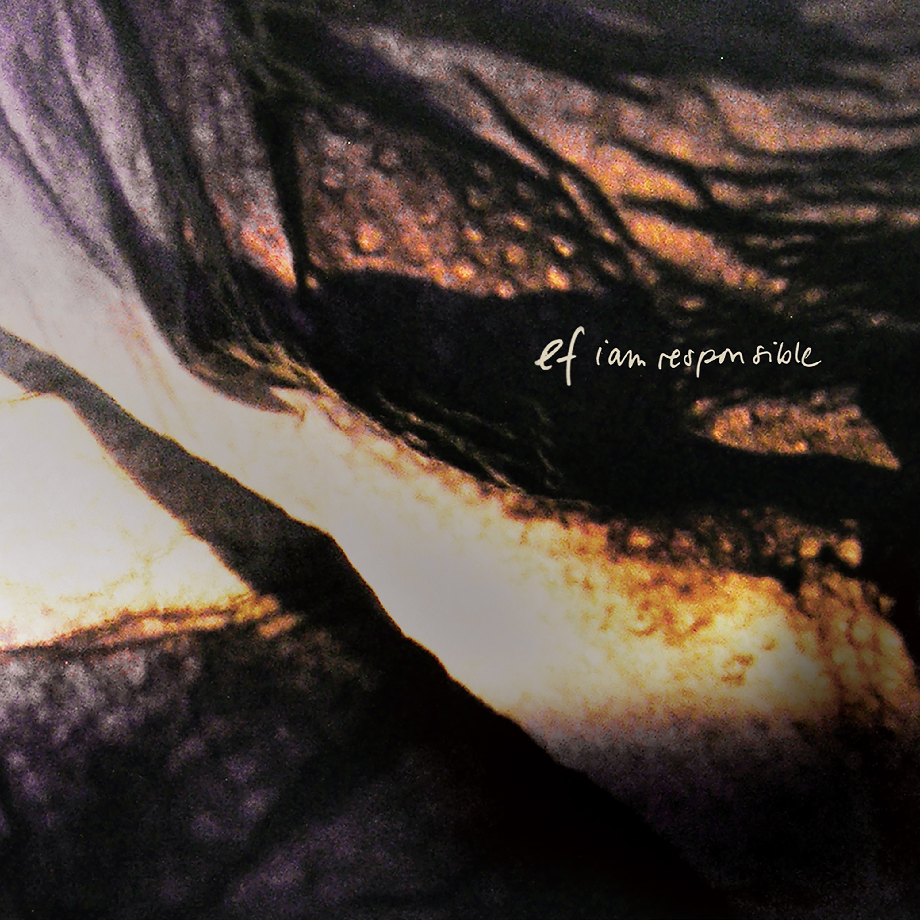 I Am Responsible (Remixed) [Remastered] album cover