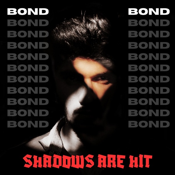 Shadows are hit - Single album cover
