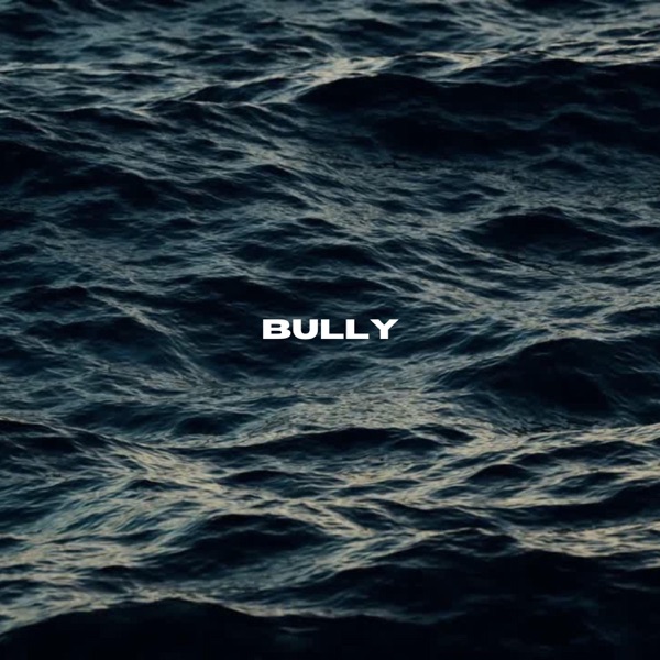 bully (feat. Małach, DJ Kebs & Salvare) - Single album cover