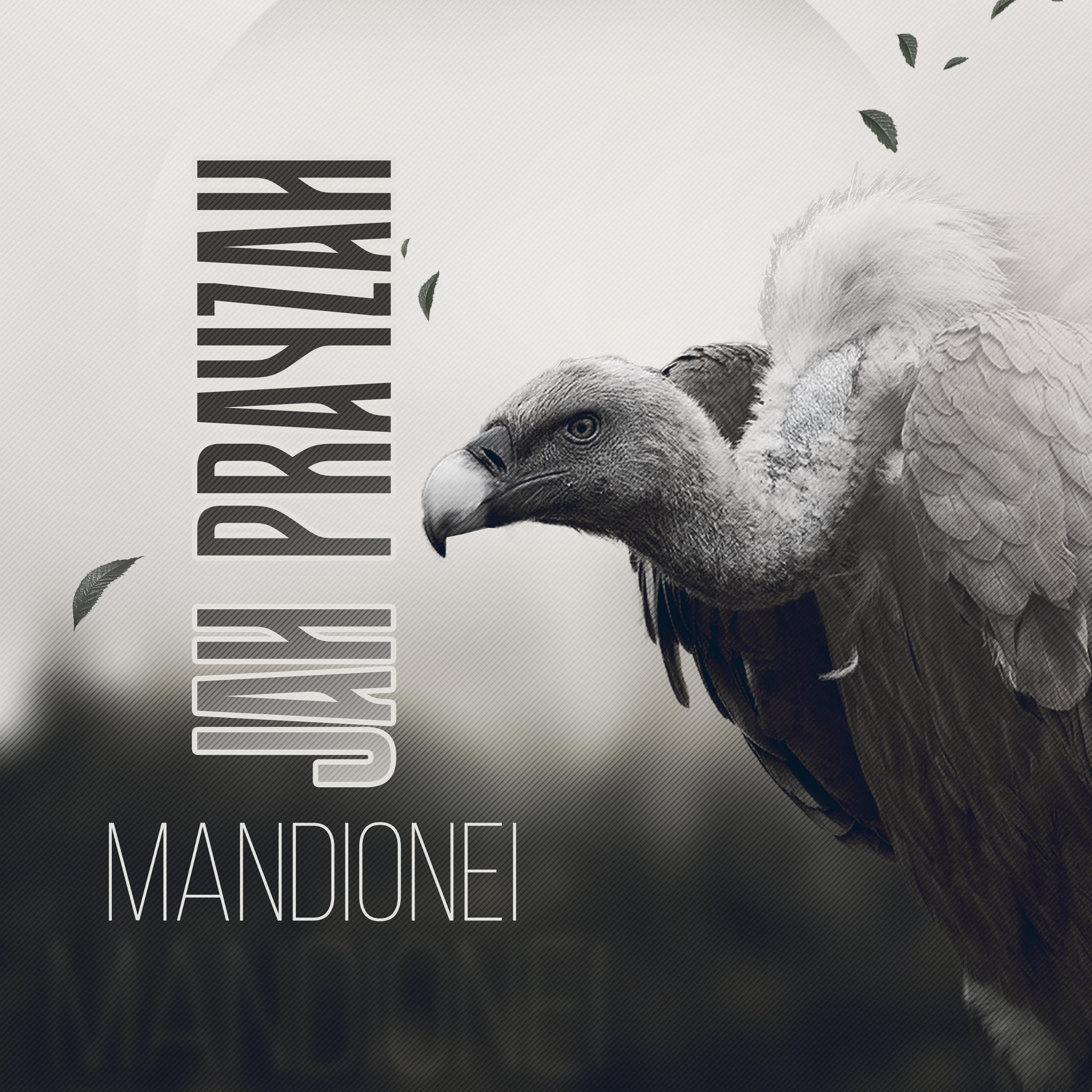 Mandionei - Single album cover