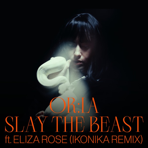 Slay The Beast (Ikonika Remix) - Single album cover