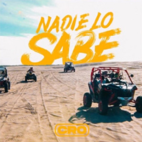 Nadie Lo Sabe - Single album cover