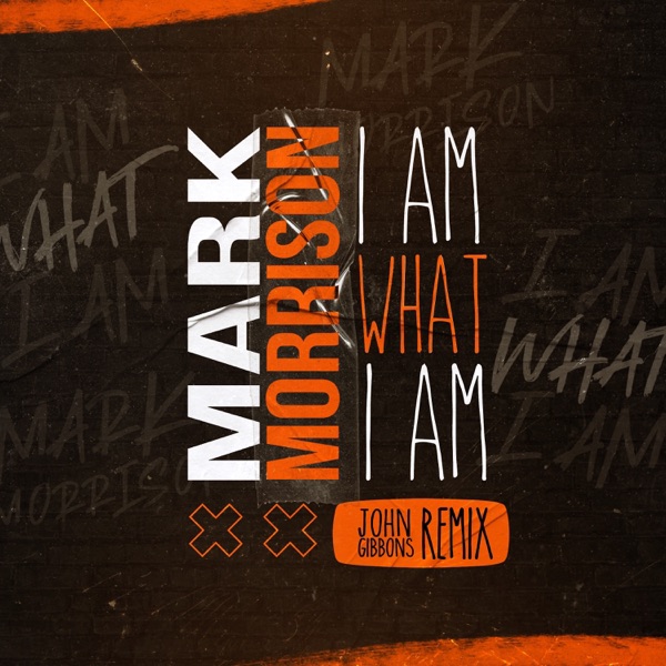 I Am What I Am (John Gibbons Remix) - Single album cover