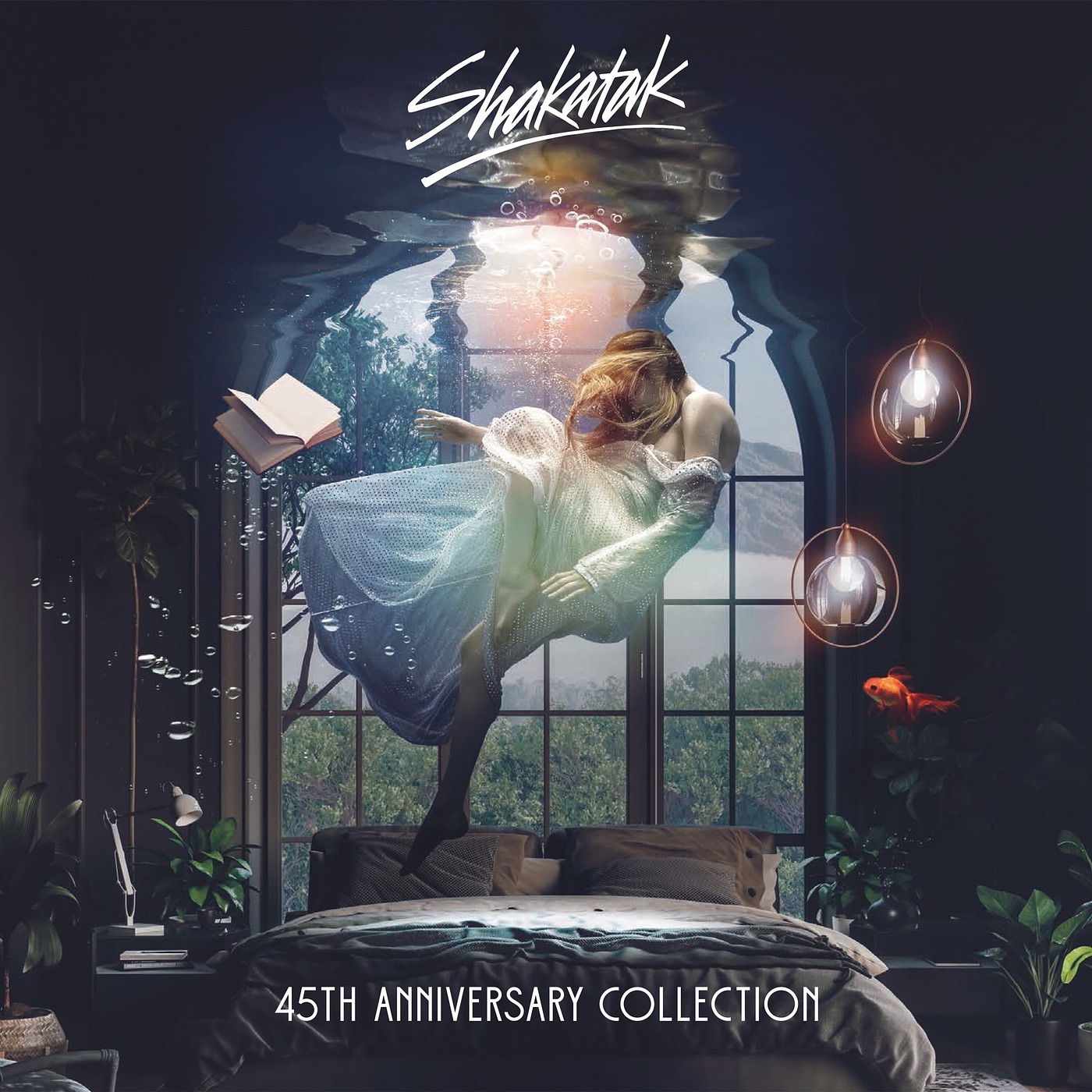 45th Anniversary Collection album cover