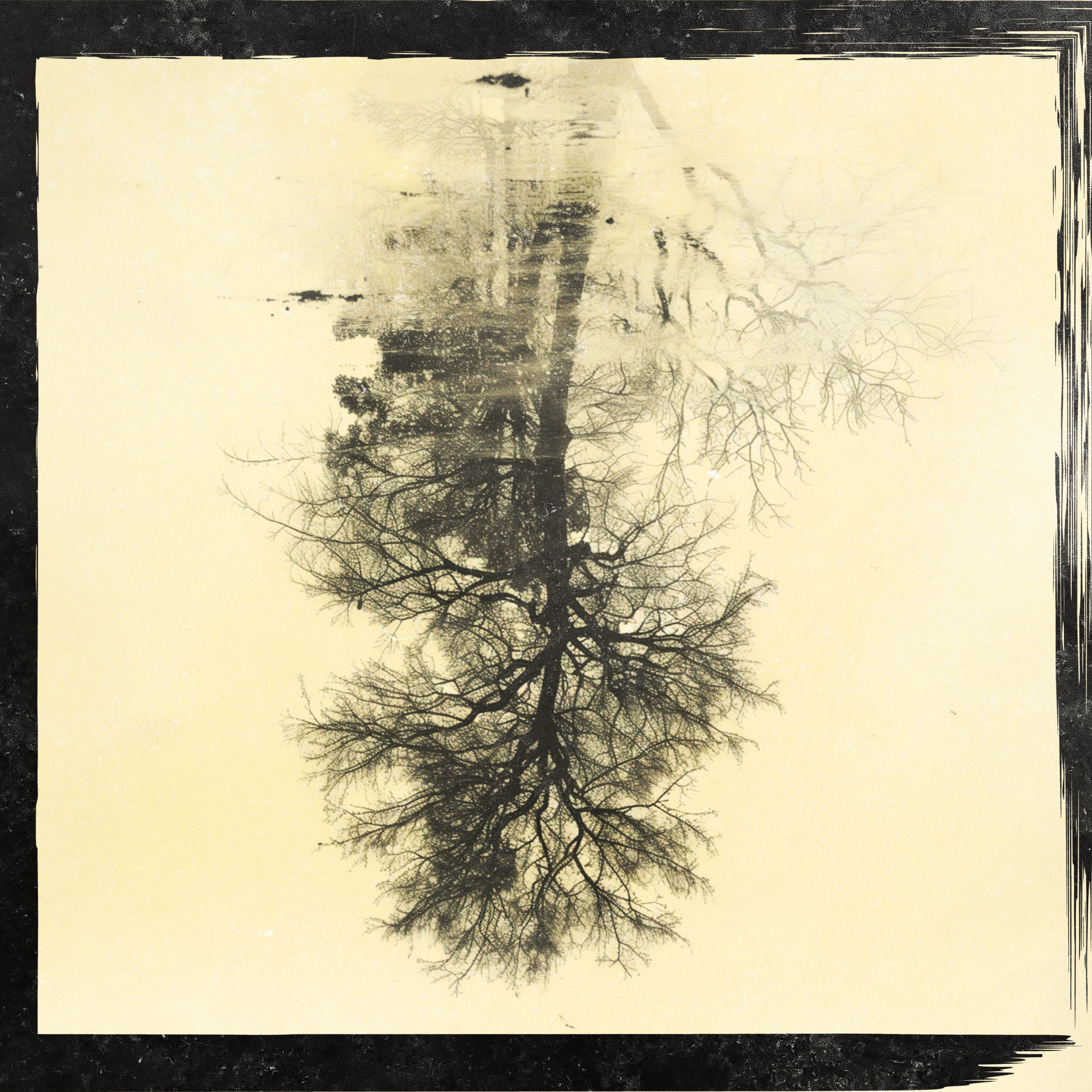 John Field: Nocturne No. 5 - Single album cover