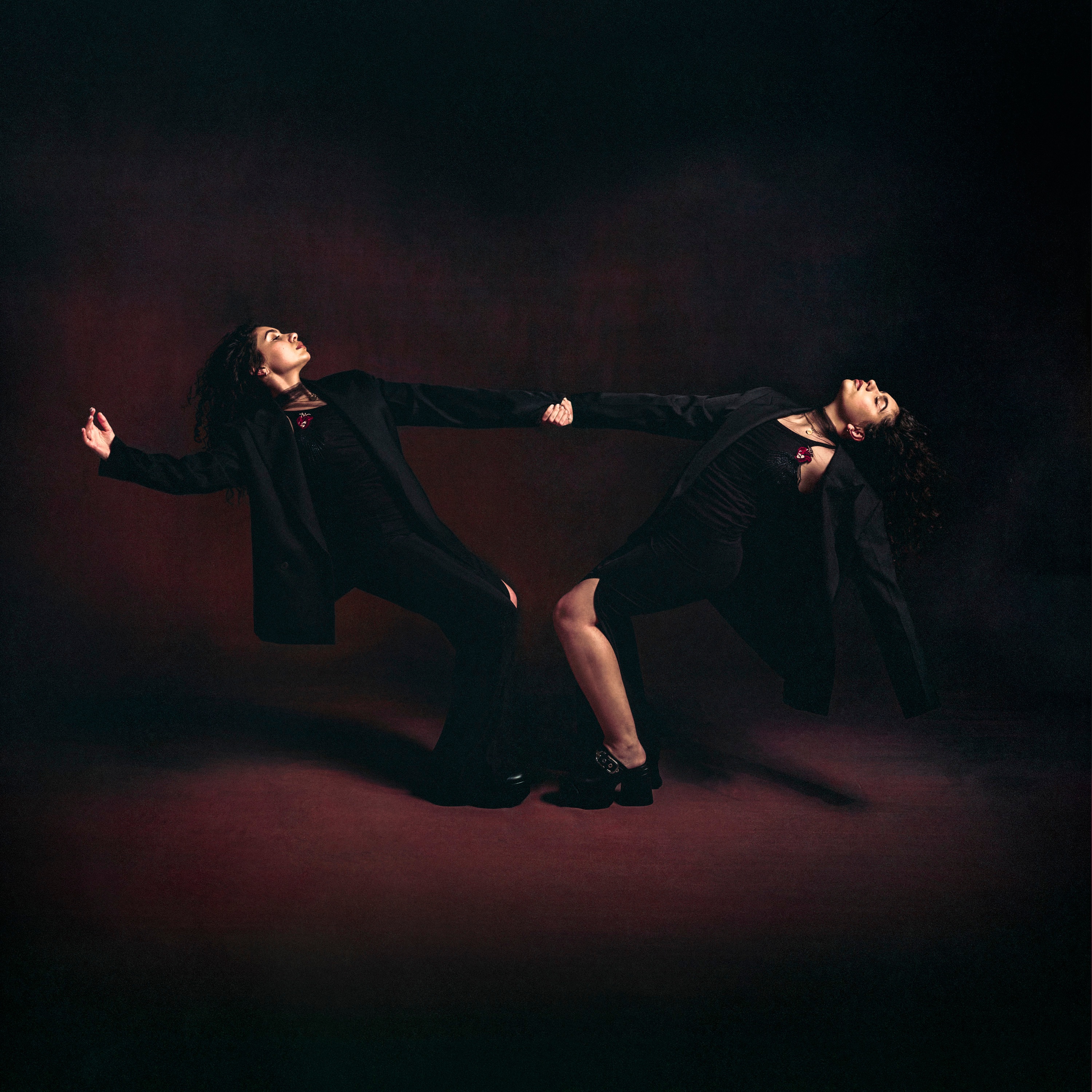 Love & Hyperbole (Video Album) album cover