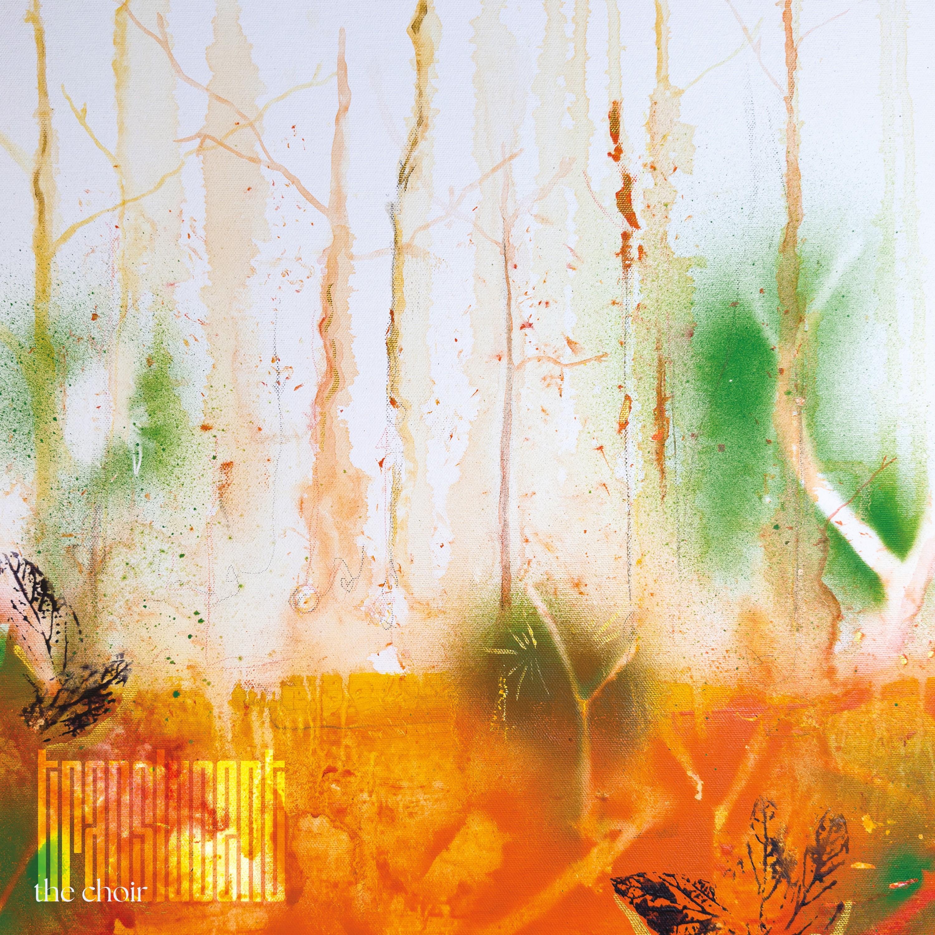 Translucent album cover