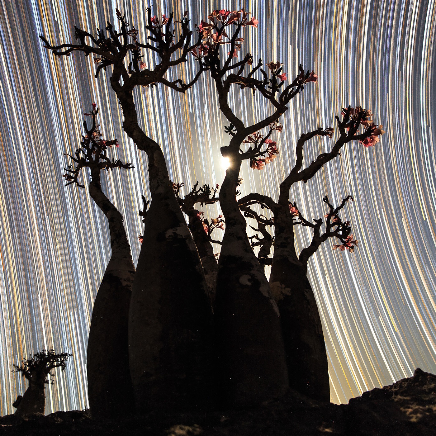 Music for Focus and Creativity album cover