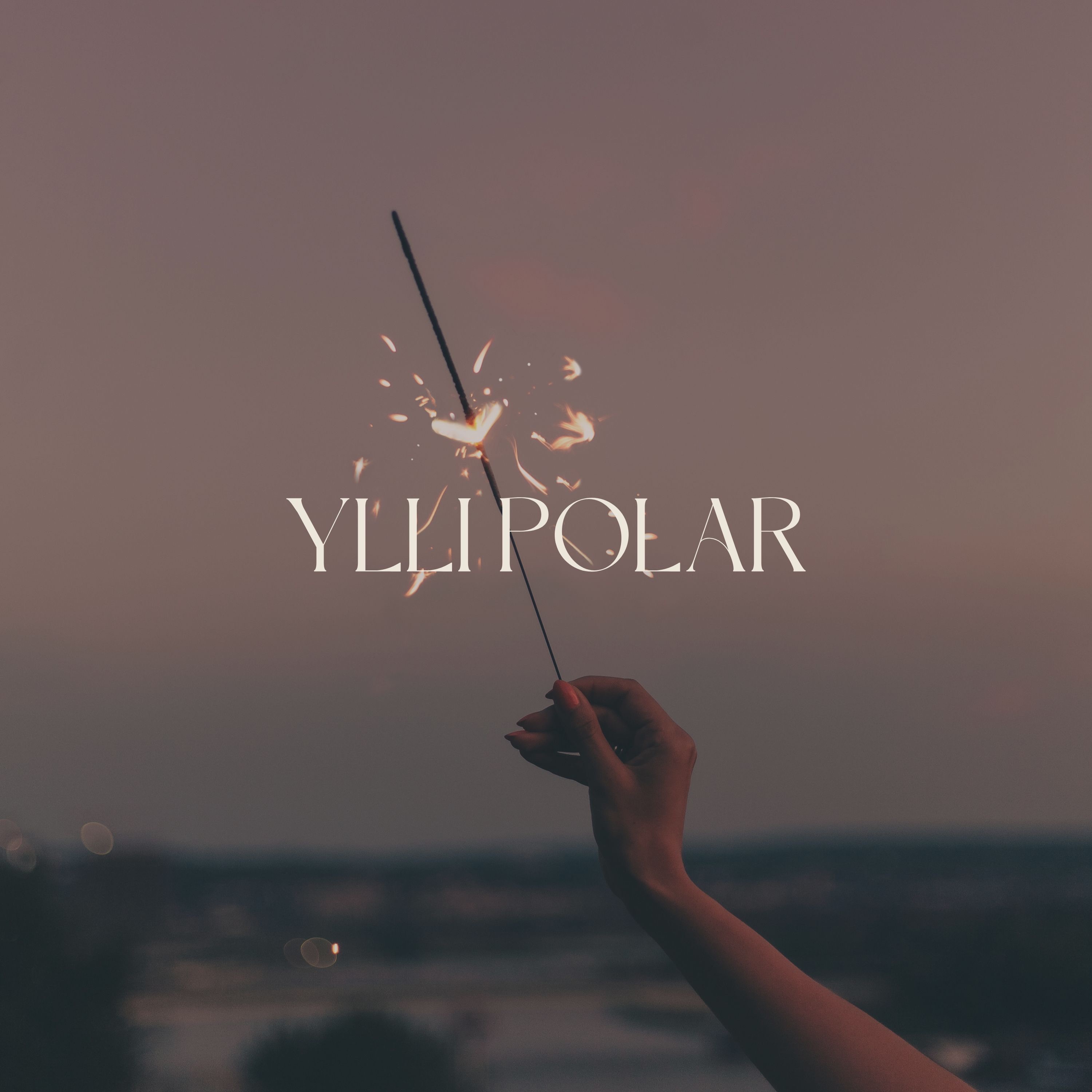 Ylli Polar - Single album cover