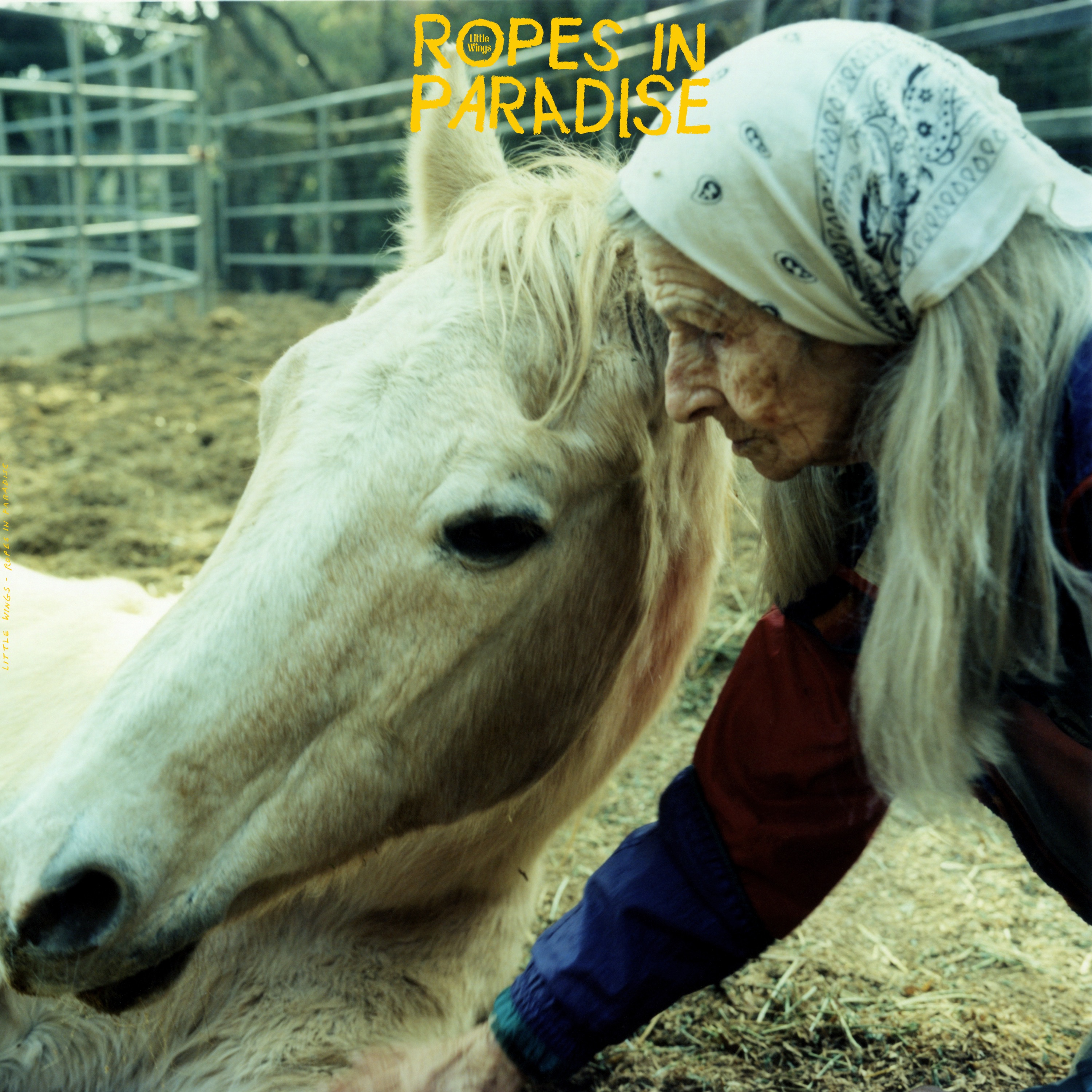 Ropes In Paradise album cover