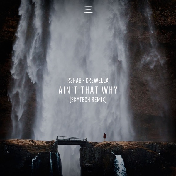 Ain't That Why (Skytech Remix) - Single album cover