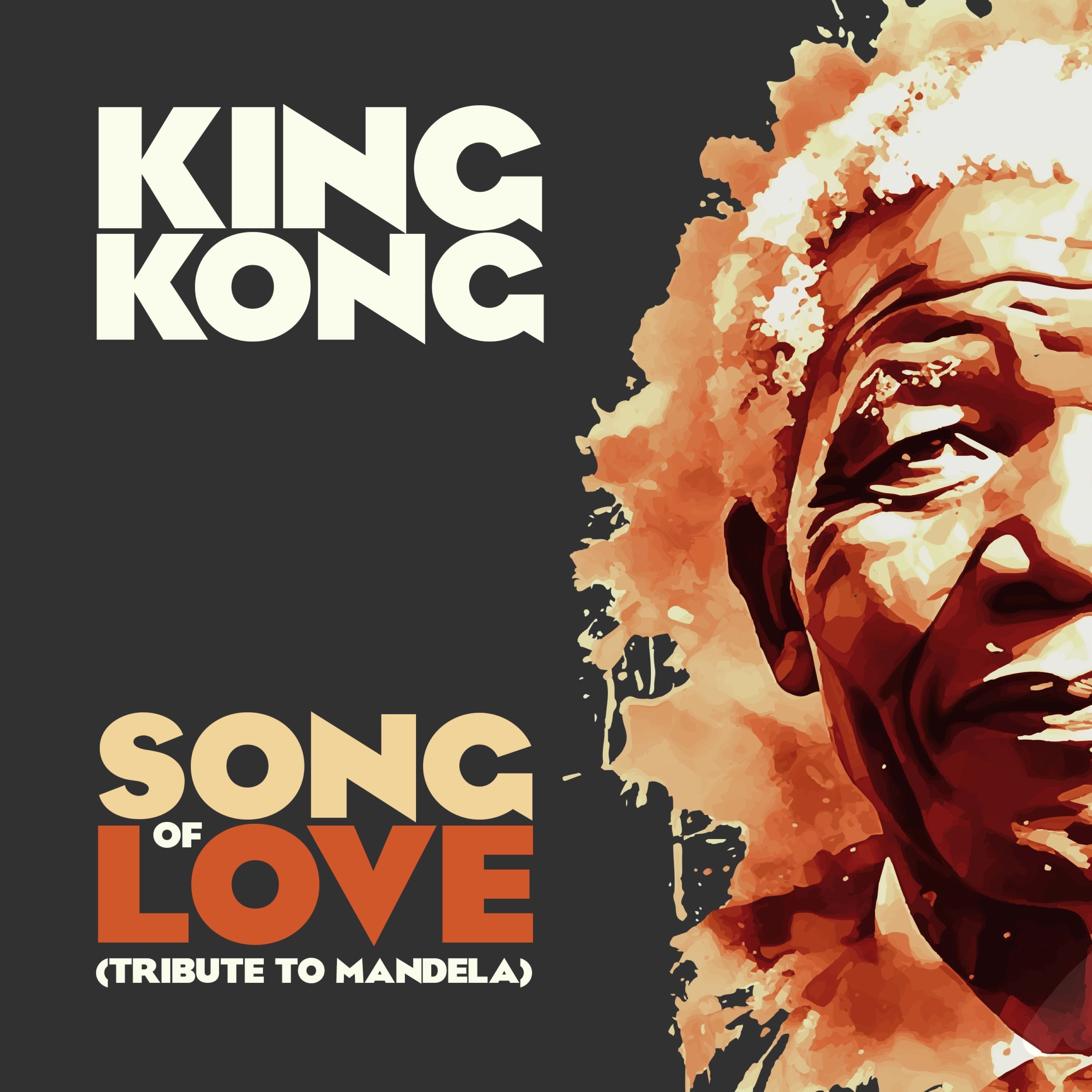 Song of Love (Tribute to Mandela) - Single album cover