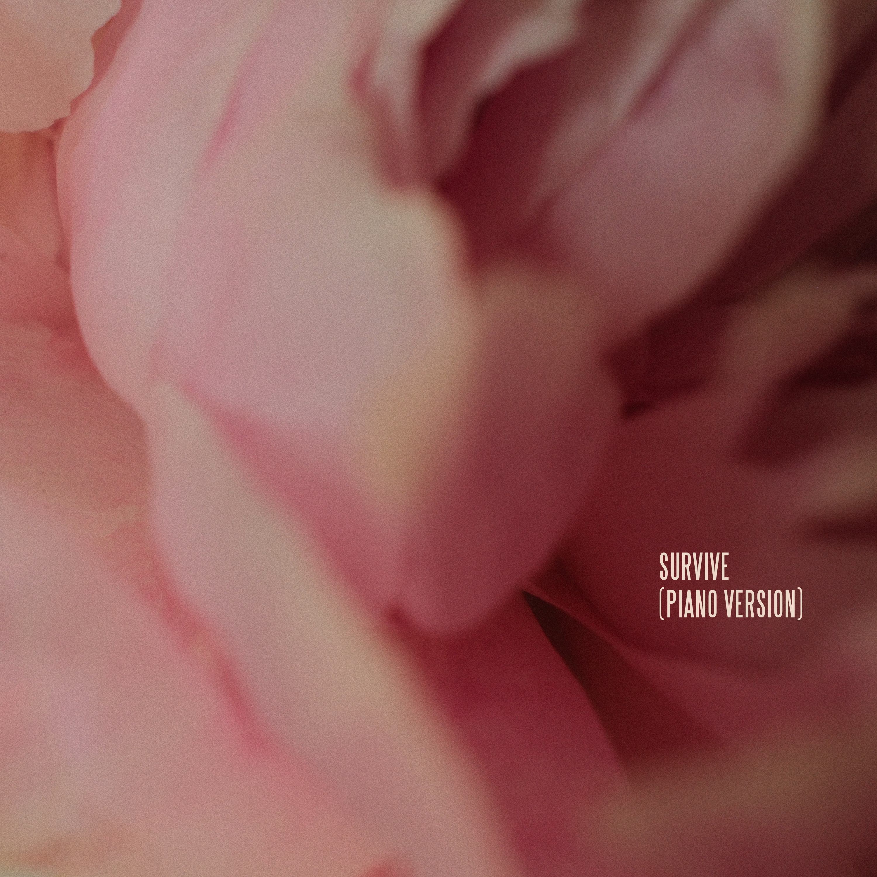 Survive (Piano Version) - Single album cover