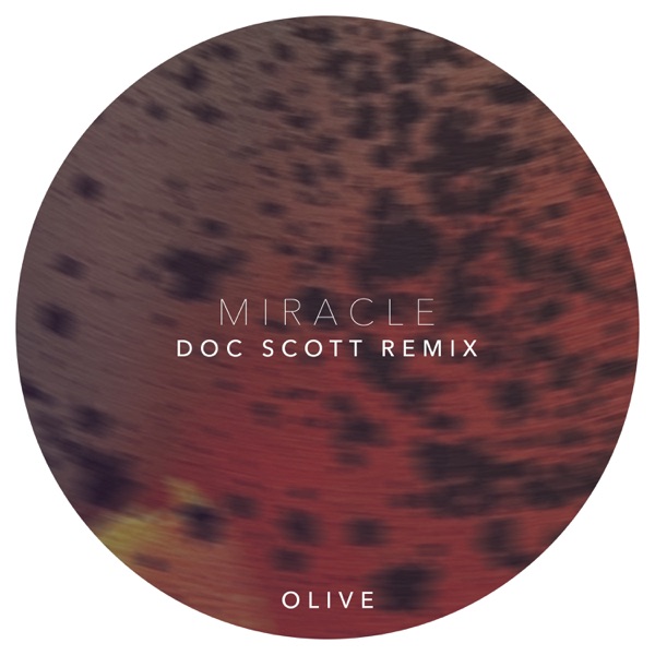 Miracle (Doc Scott Remix) - Single album cover