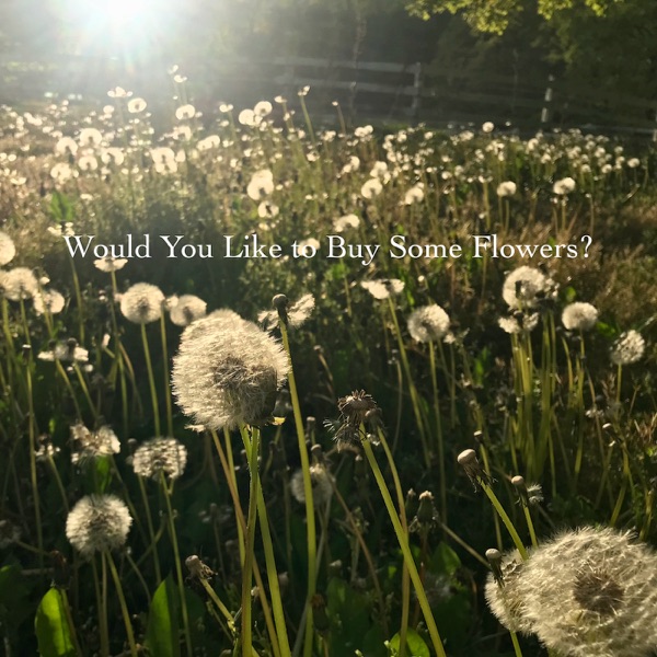Would You Like to Buy Some Flowers? (feat. Rhonda Vincent) - Single album cover