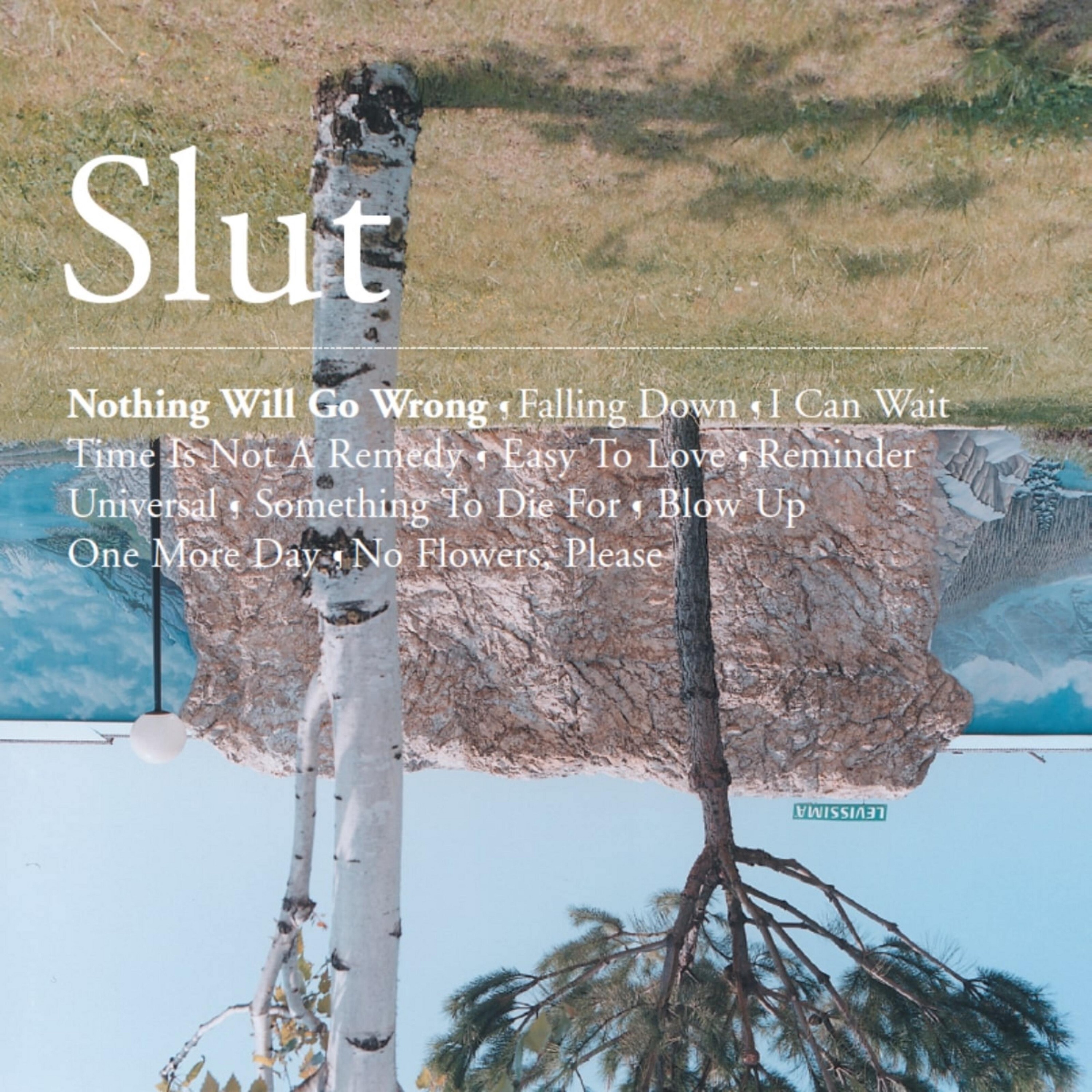 Nothing Will Go Wrong album cover