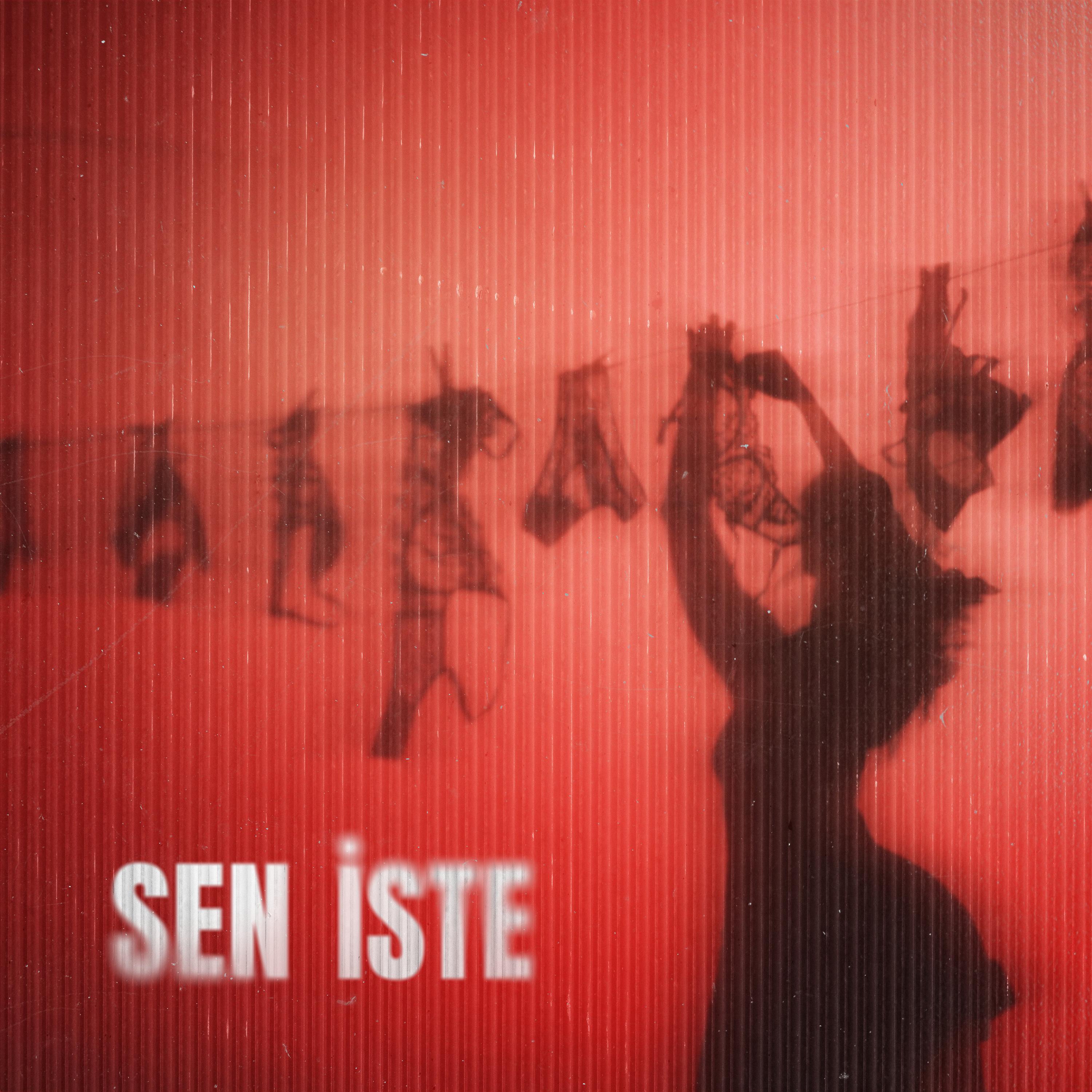 Sen İste - Single album cover
