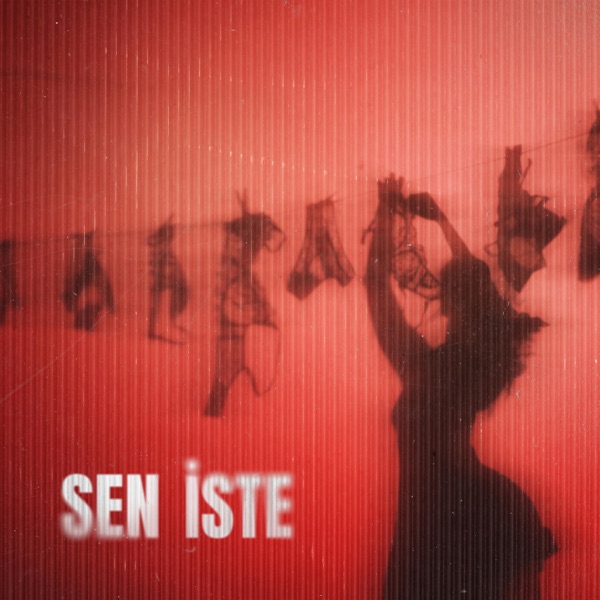 Sen İste - Single album cover
