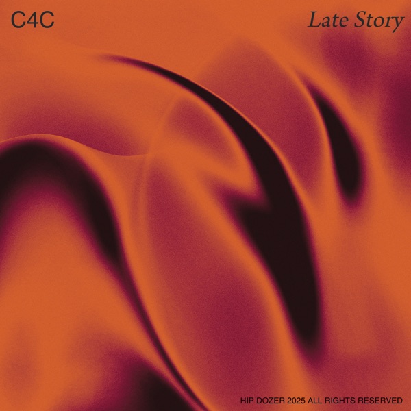 Late Story - Single album cover