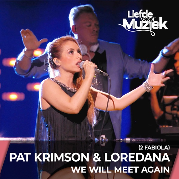 We Will Meet Again - Uit Liefde Voor Muziek - Single album cover