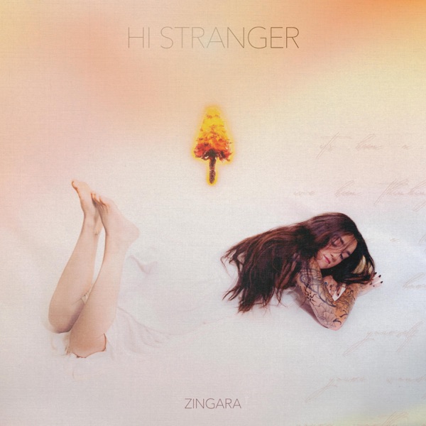 Hi Stranger - Single album cover