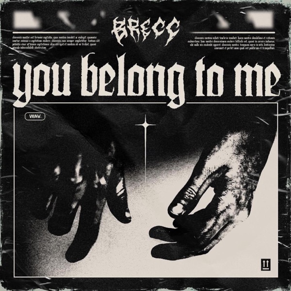 You Belong To Me - Single album cover