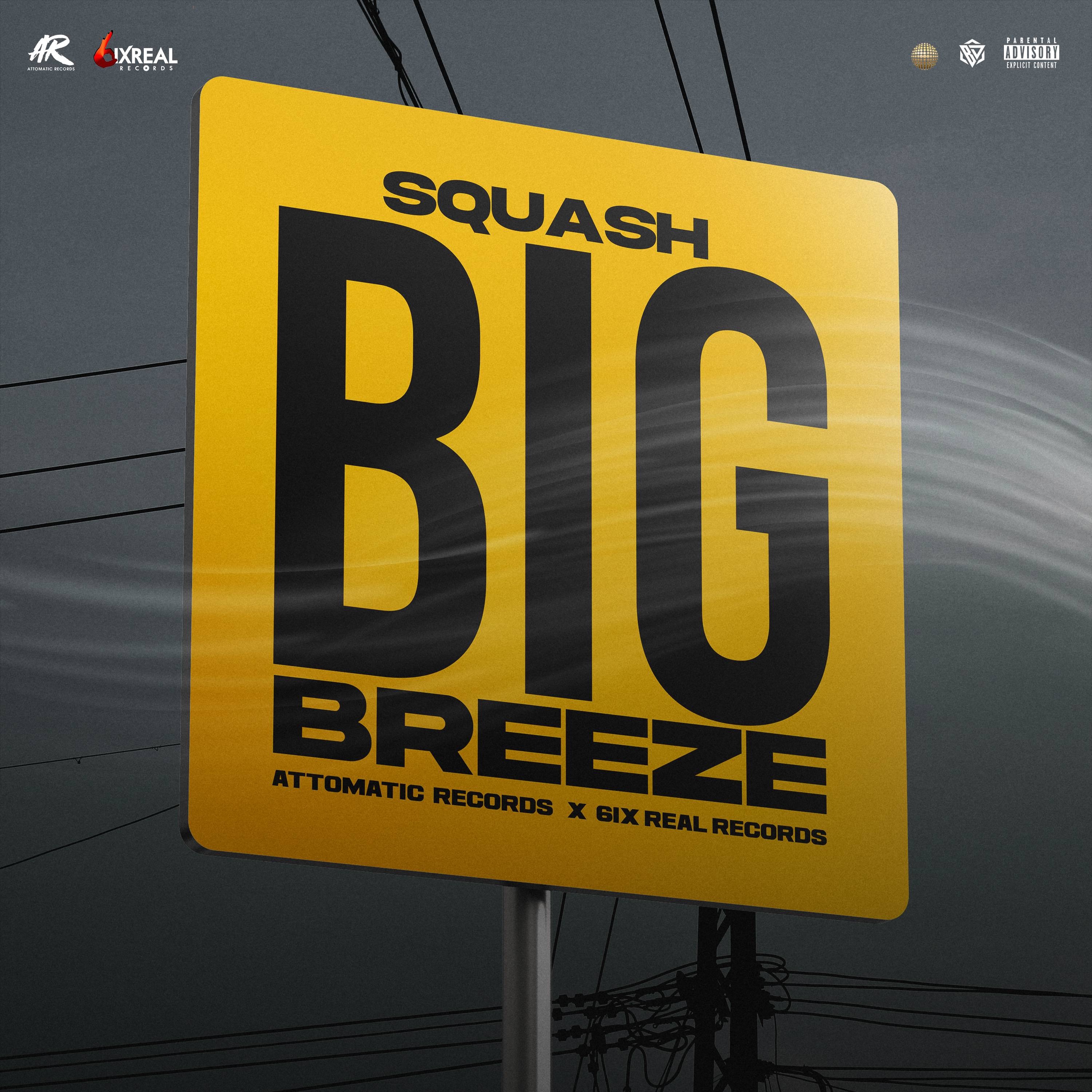 Big Breeze - Single album cover
