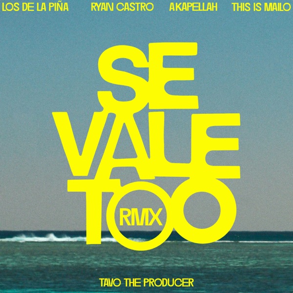 SE VALE TOO (feat. This Is Mailo, Tavo the producer) [Remix] - Single album cover