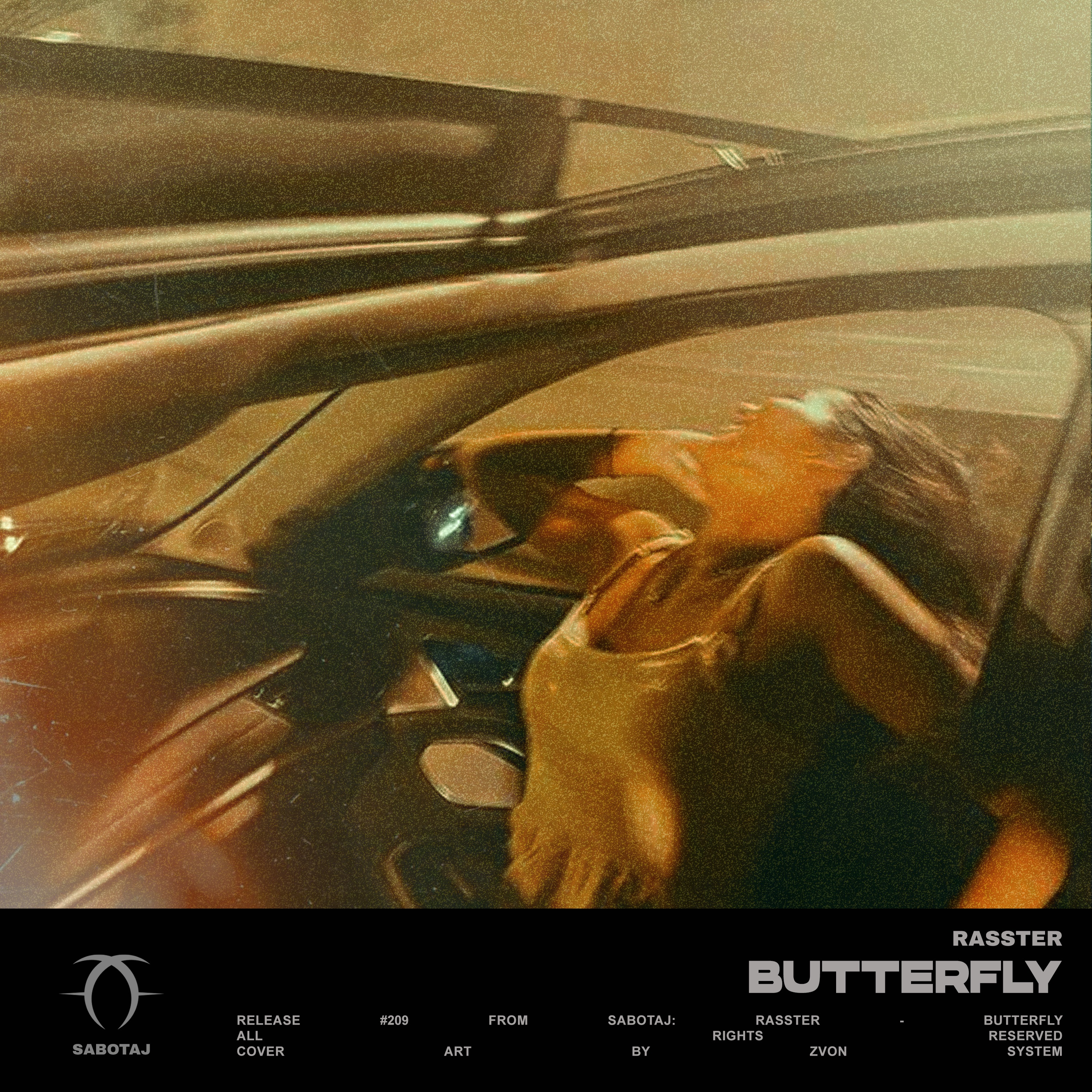 Butterfly - Single album cover