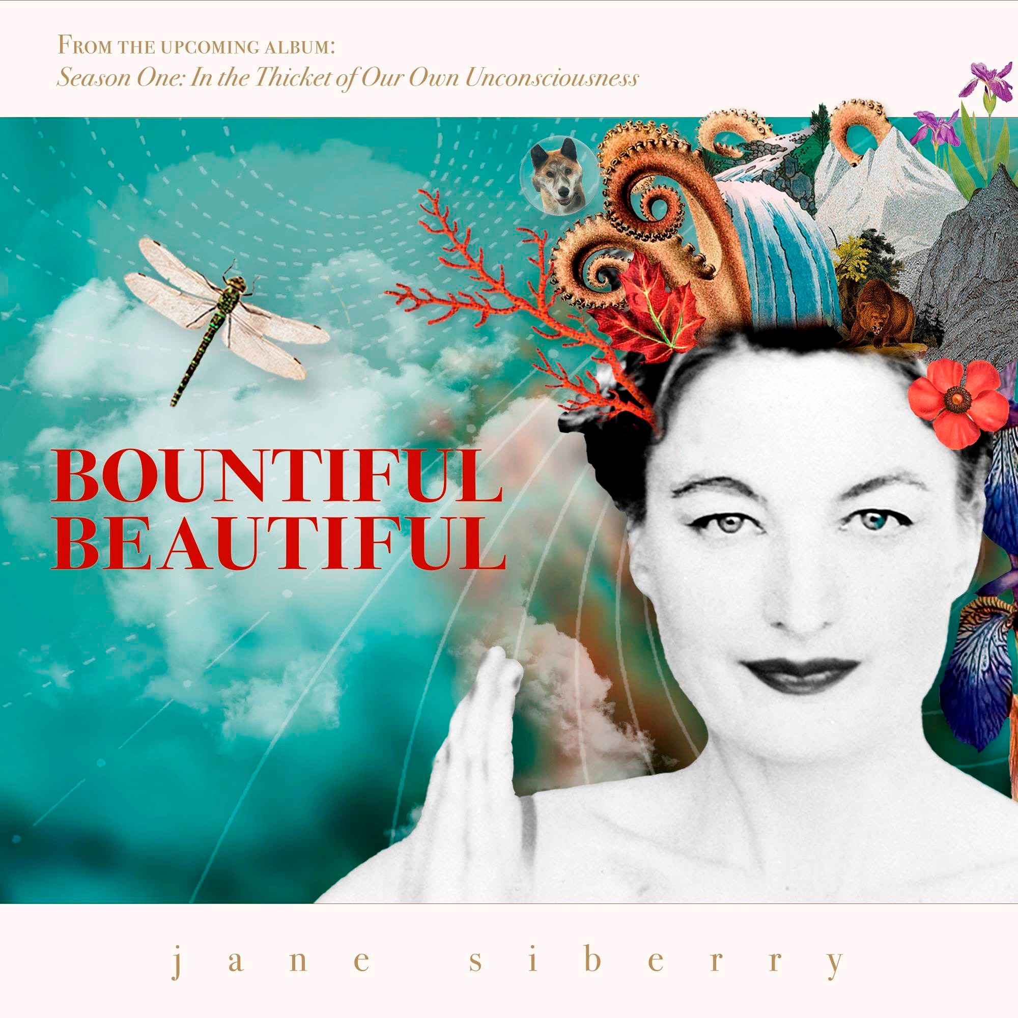 Bountiful, Beautiful - Single album cover