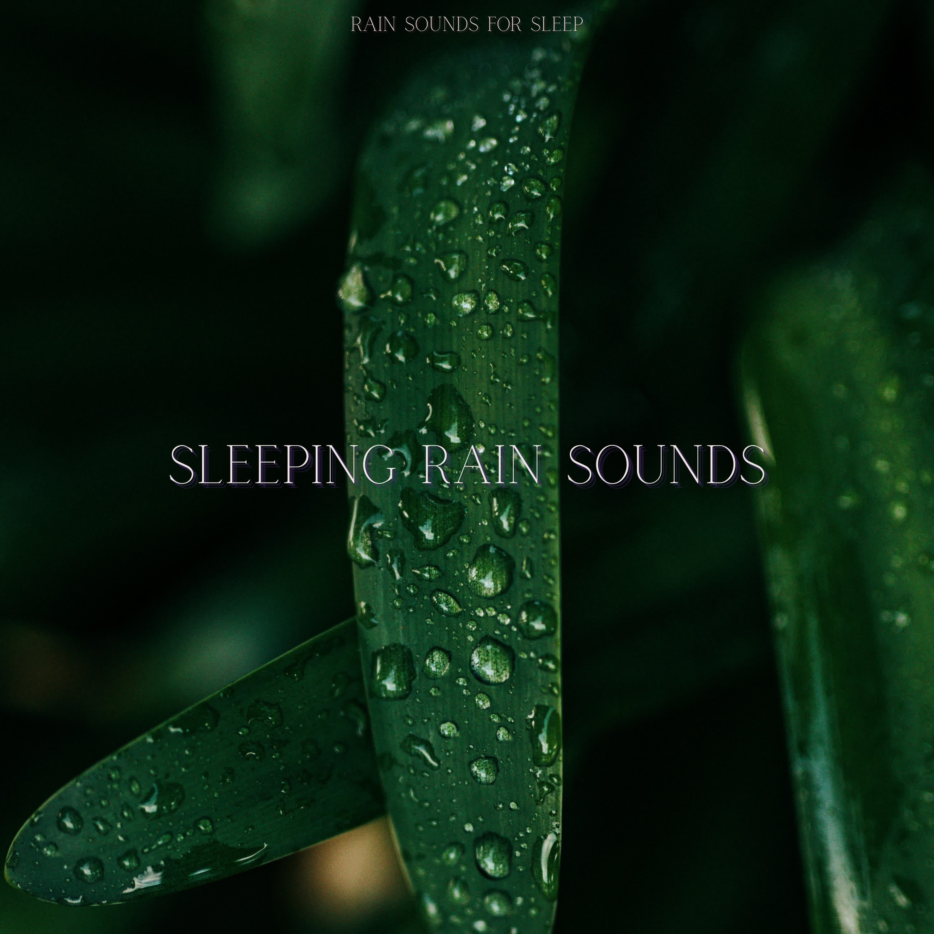 Sleeping Rain Sounds album cover