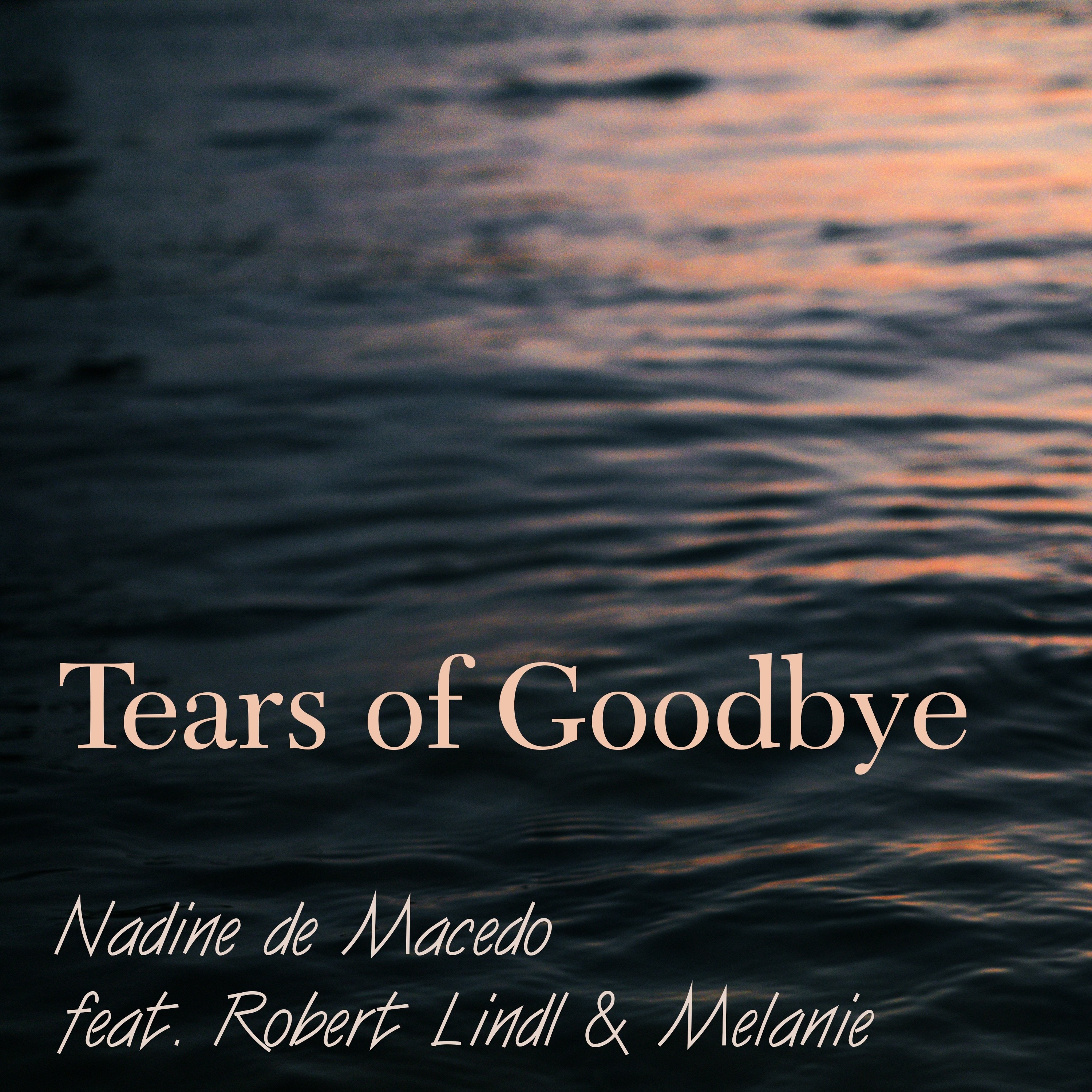 Tears of Goodbye (feat. Robert Lindl & Melanie) - Single album cover
