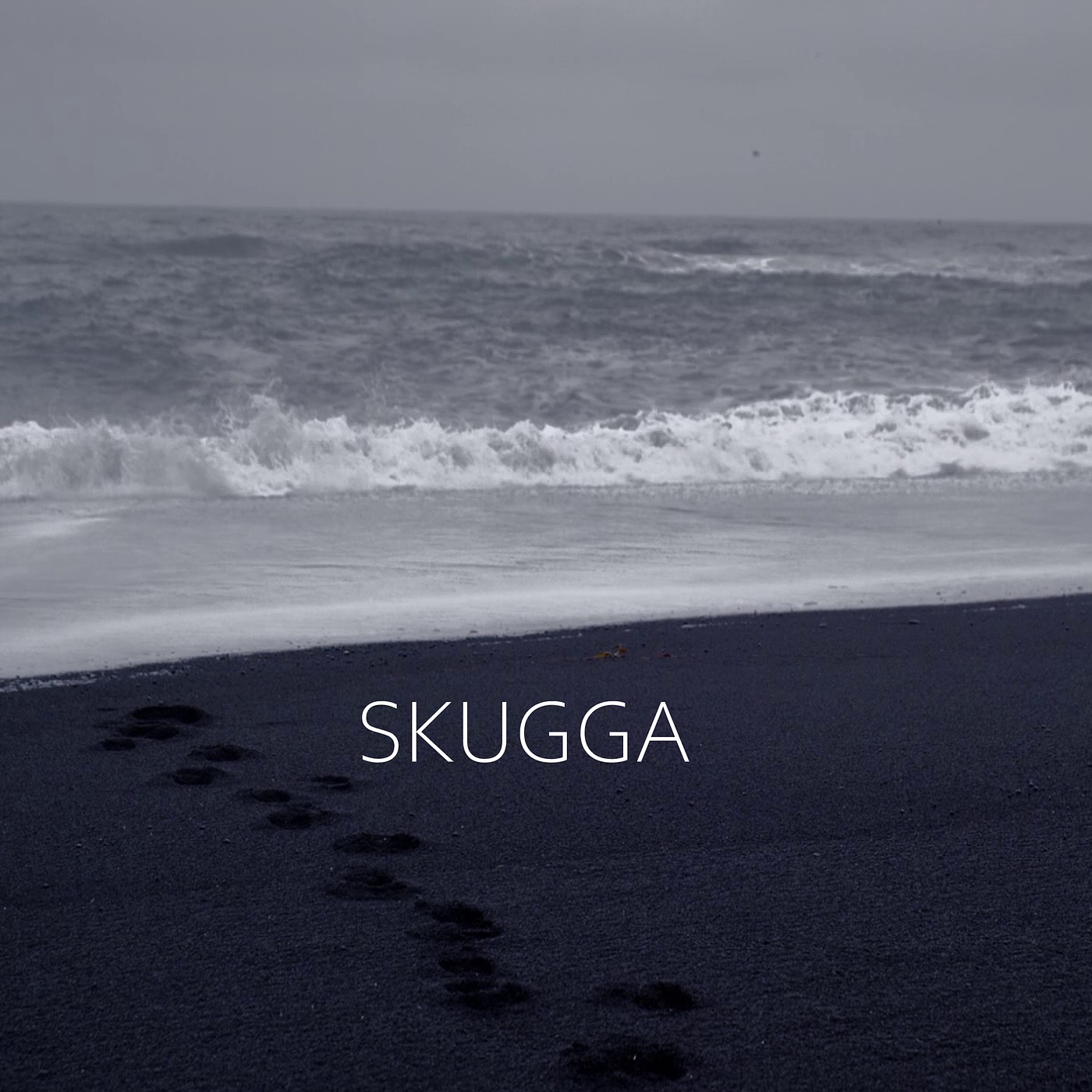 Skugga - Single album cover
