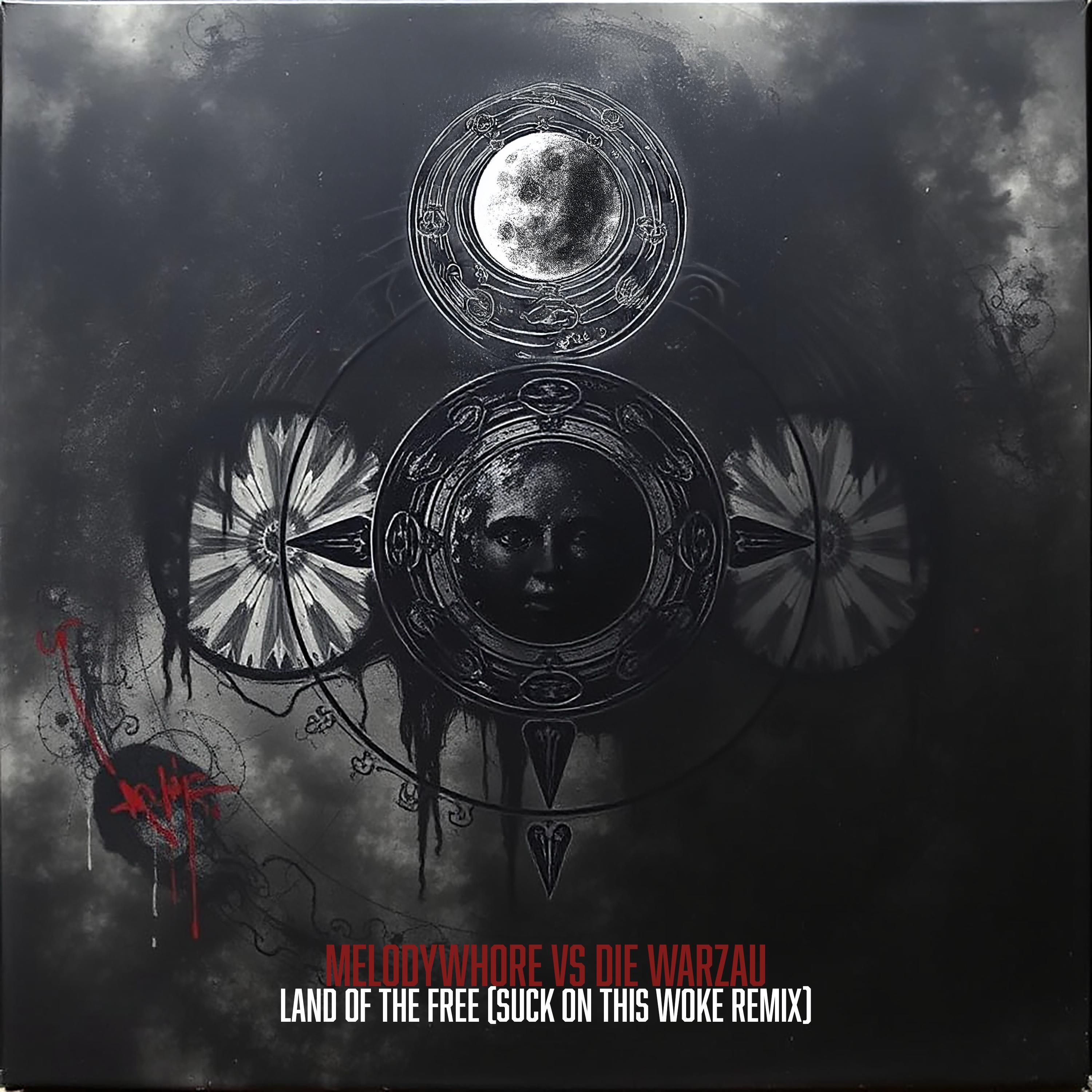 melodywhore vs Die Warzau (Land of the Free) - Single album cover